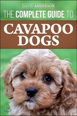 The Complete Guide to Cavapoo Dogs: Everything you need to know to successfully raise and train your new Cavapoo puppy