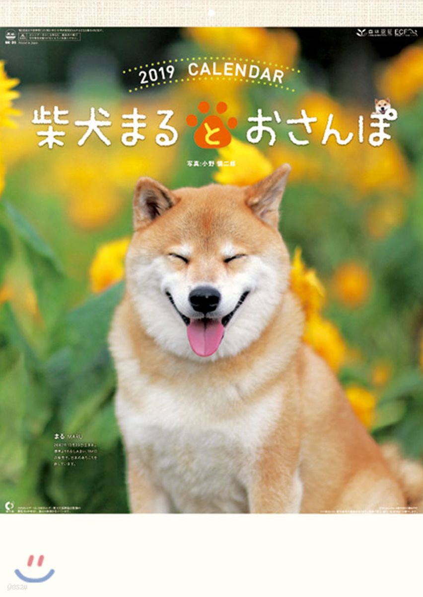 柴犬まるとおさんぽ 2019年カレンダ-