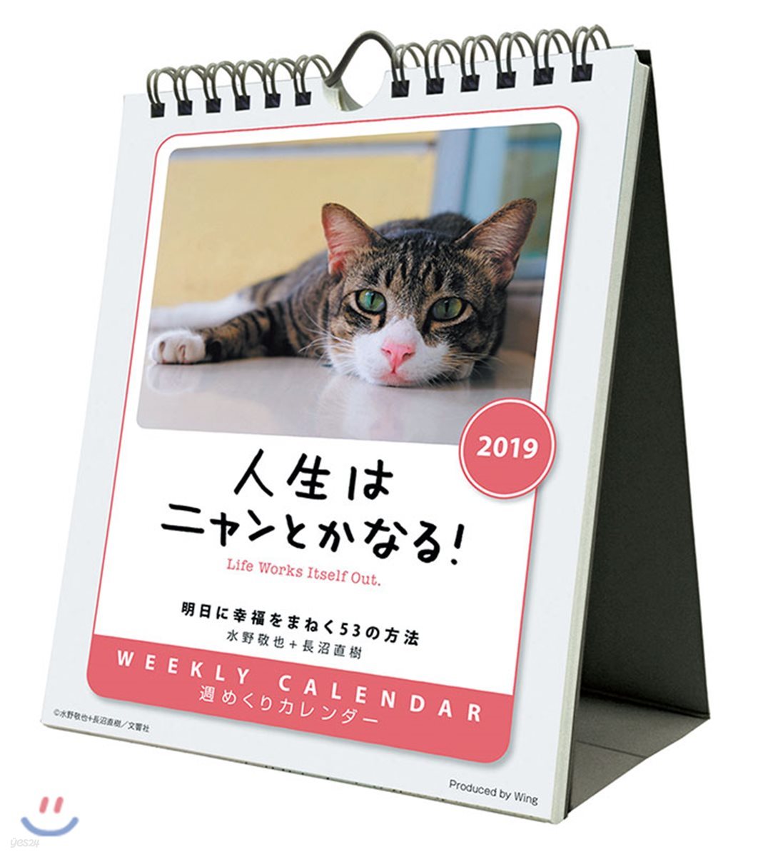 人生はニャンとかなる! 2019年カレンダ-