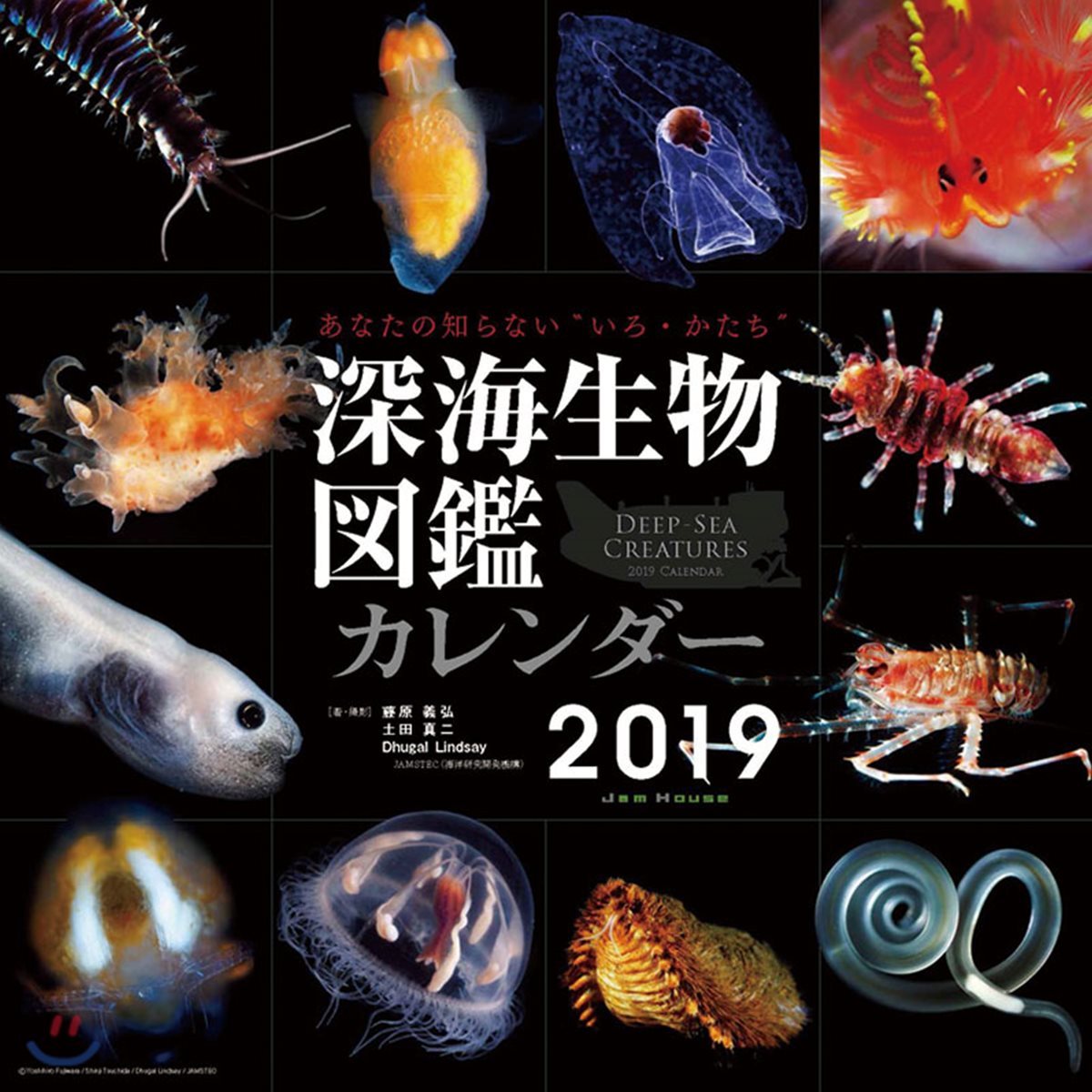 深海生物圖鑑 2019年カレンダ-