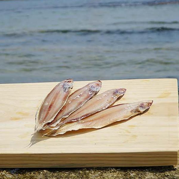 속초 중앙시장 맛집 반건조 박대 30cm 3마리 - 예스24