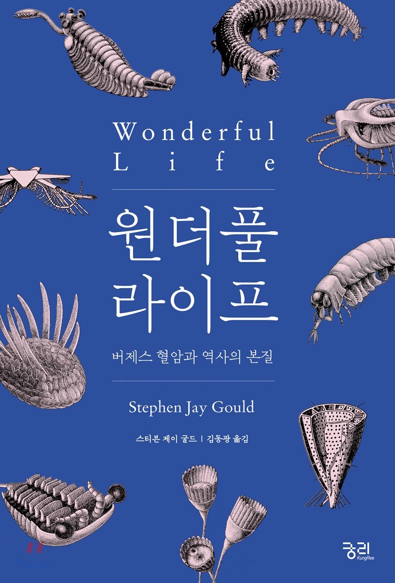 원더풀 라이프