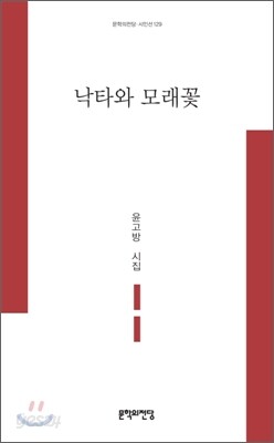 낙타와 모래꽃