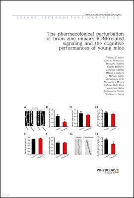 The pharmacological perturbation of brain zinc impairs BDNF-related signaling and the cognitive performances of young mice