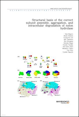 Structural basis of the correct subunit assembly, aggregation, and intracellular degradation of nylon hydrolase