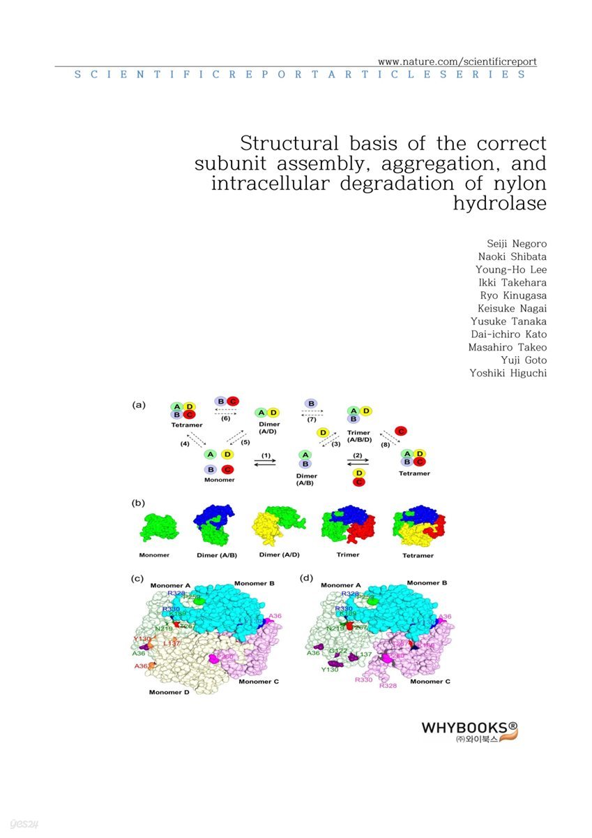 Structural basis of the correct subunit assembly, aggregation, and intracellular degradation of nylon hydrolase