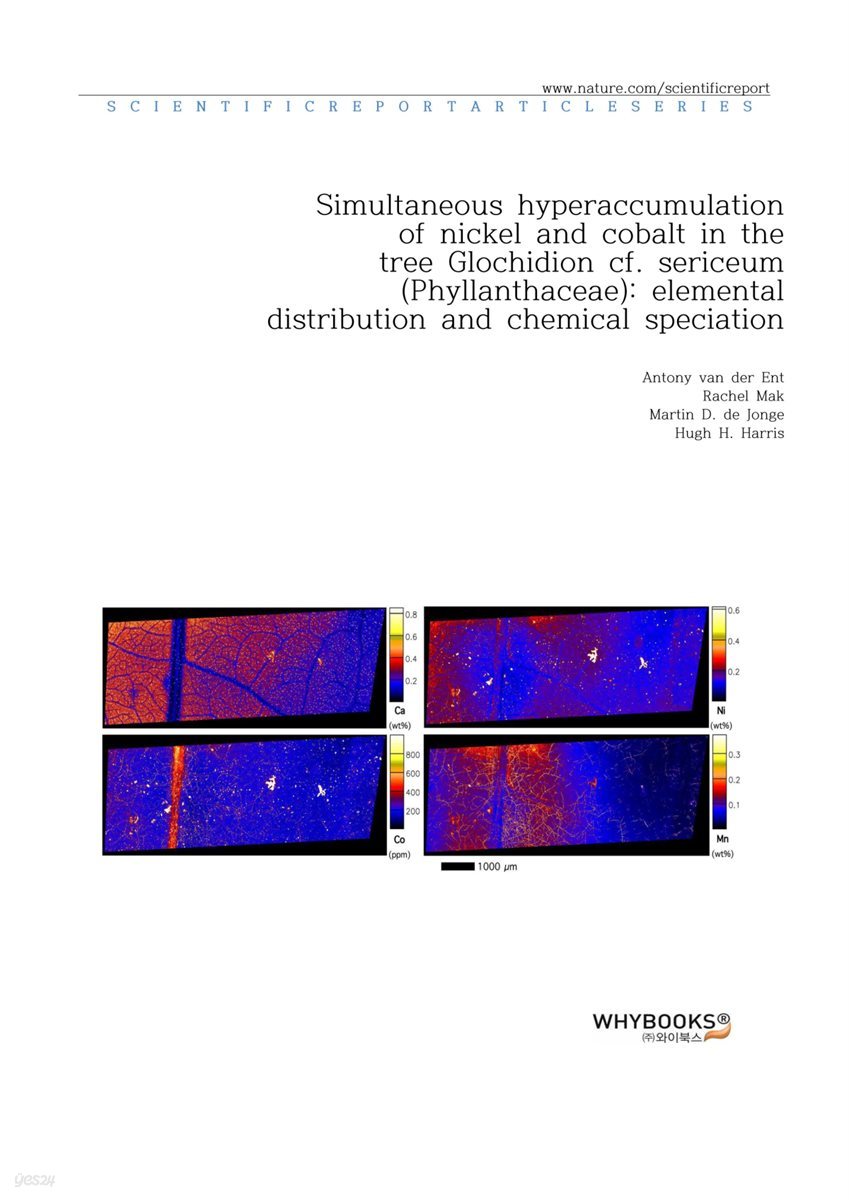 Simultaneous hyperaccumulation of nickel and cobalt in the tree Glochidion cf. sericeum (Phyllanthaceae) elemental distribution and chemical speciation