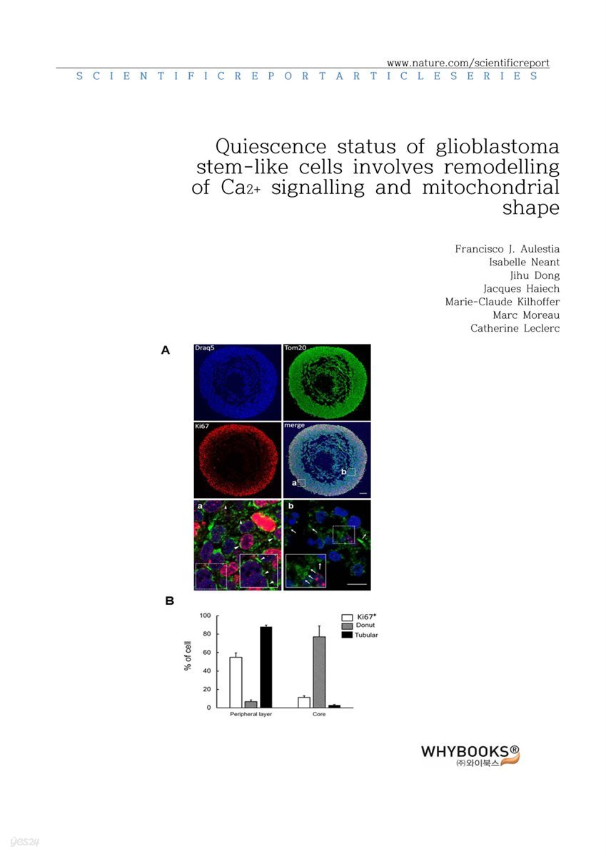 Quiescence status of glioblastoma stem-like cells involves remodelling of Ca2+ signalling and mitochondrial shape