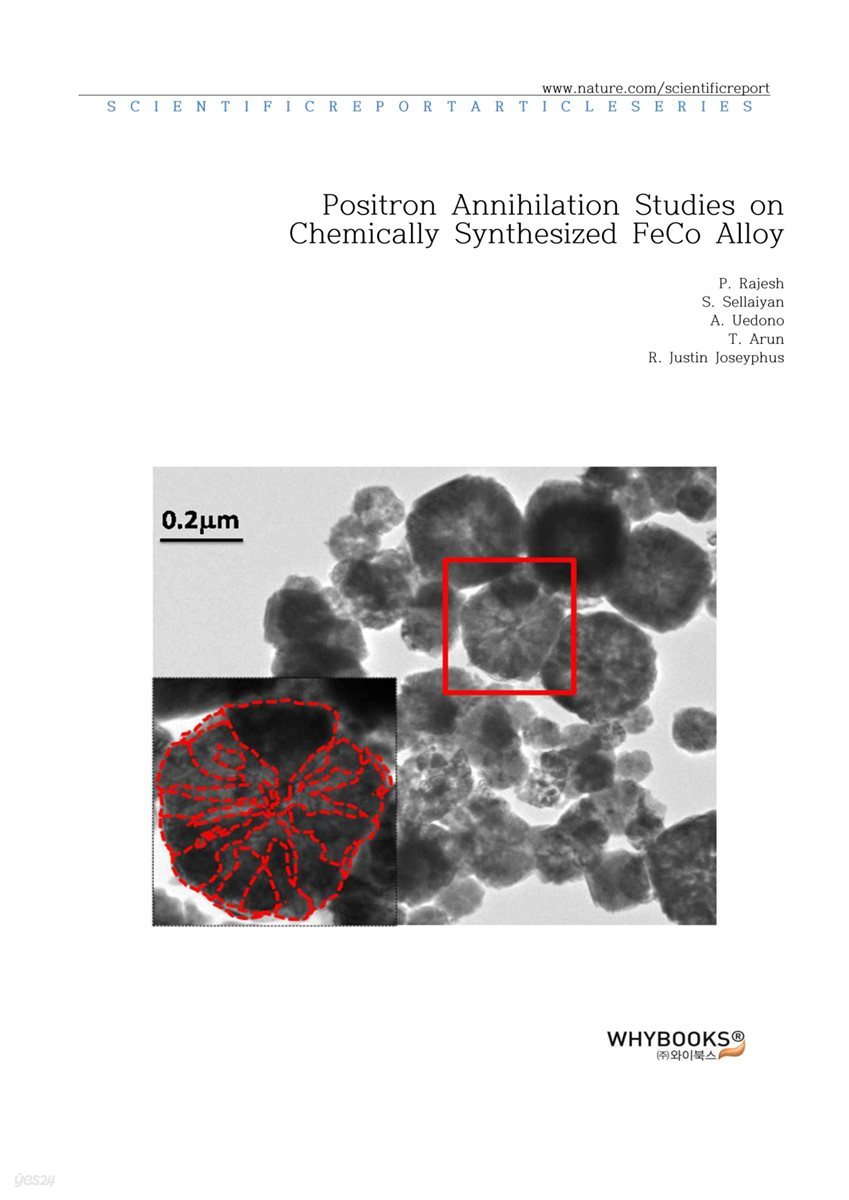 Positron Annihilation Studies on Chemically Synthesized FeCo Alloy