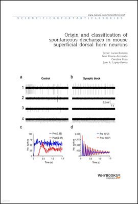 Origin and classification of spontaneous discharges in mouse superficial dorsal horn neurons