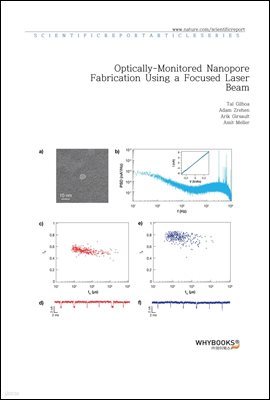 Optically-Monitored Nanopore Fabrication Using a Focused Laser Beam