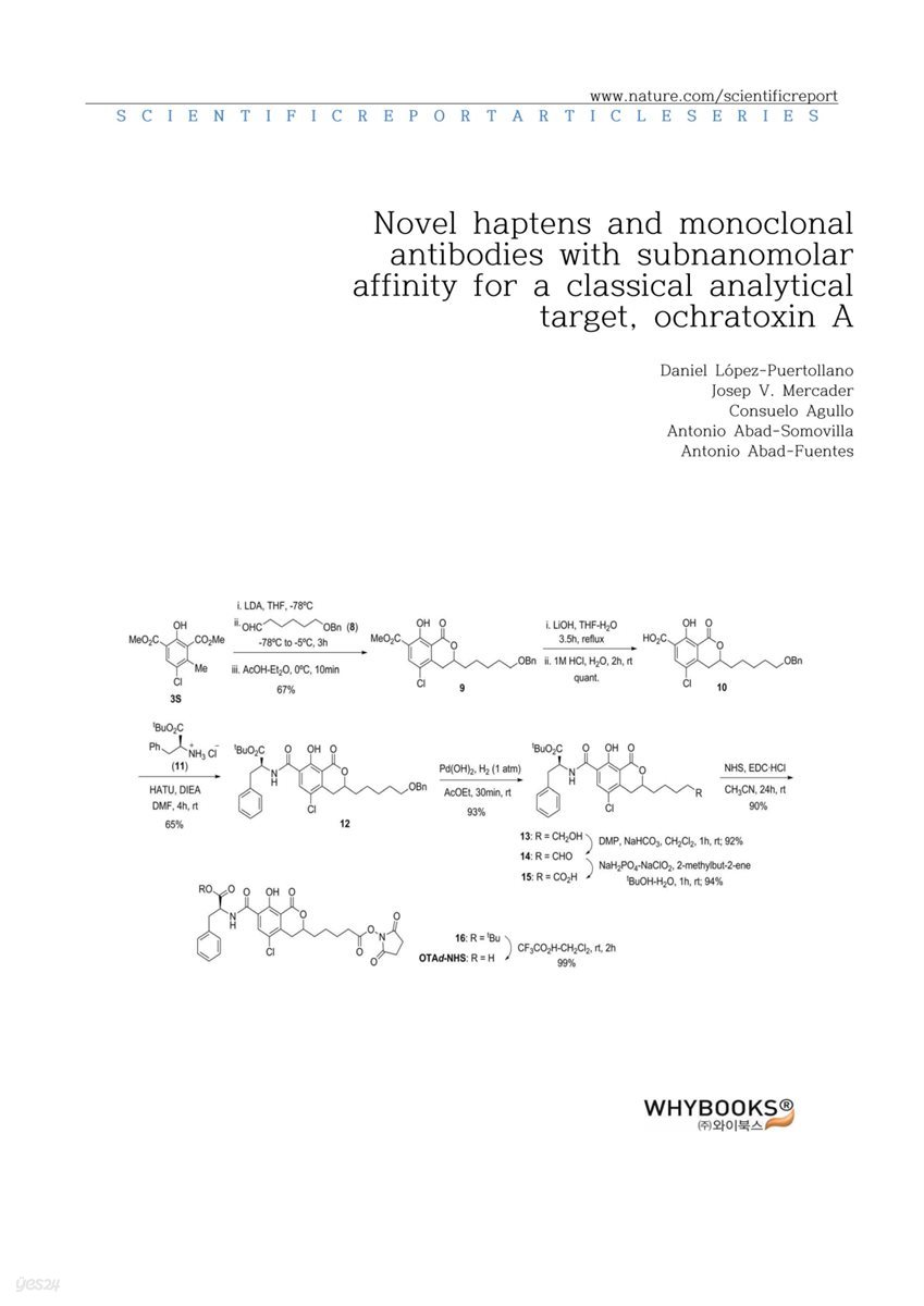 Novel haptens and monoclonal antibodies with subnanomolar affinity for a classical analytical target, ochratoxin A