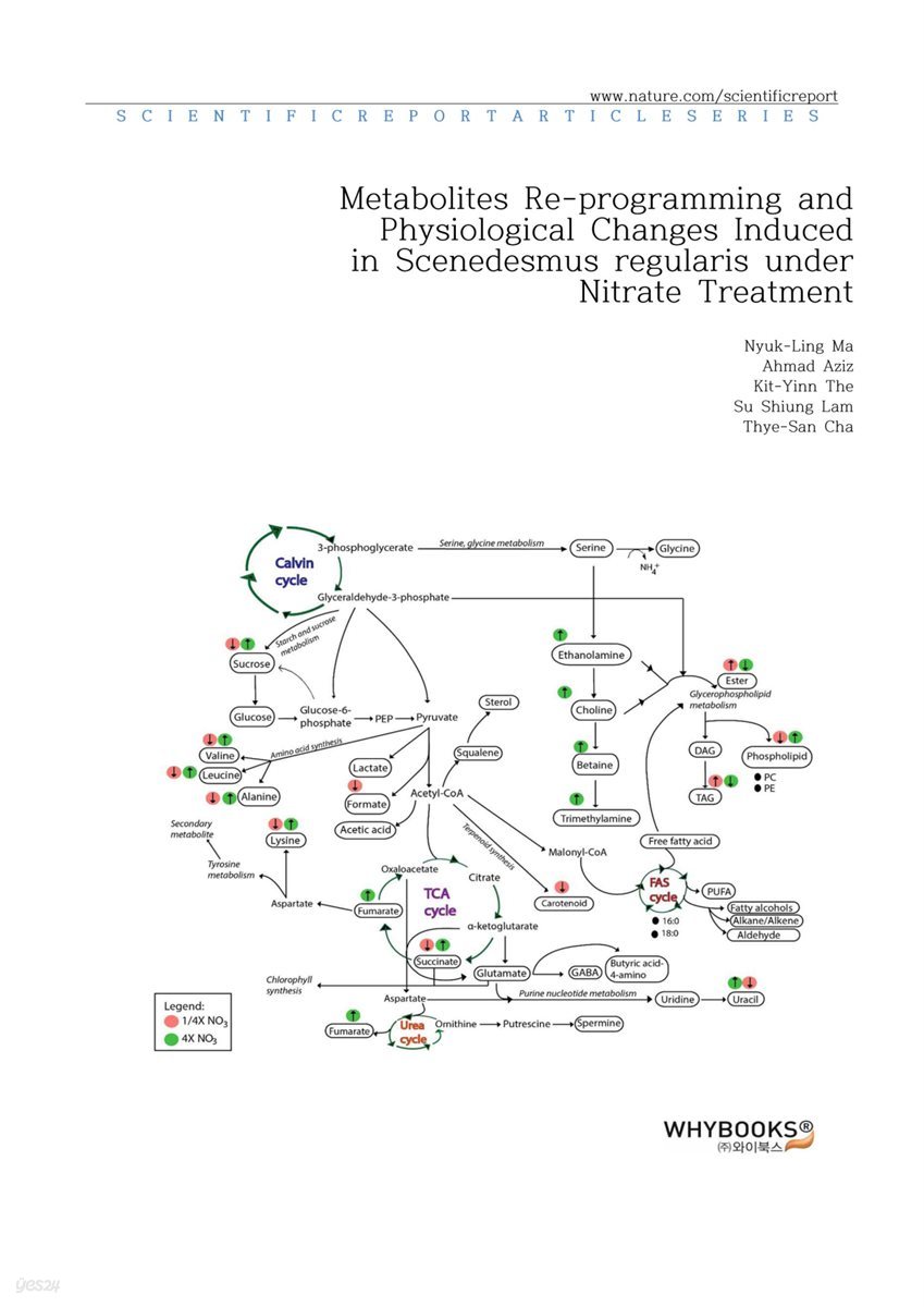 Metabolites Re-programming and Physiological Changes Induced in Scenedesmus regularis under Nitrate Treatment