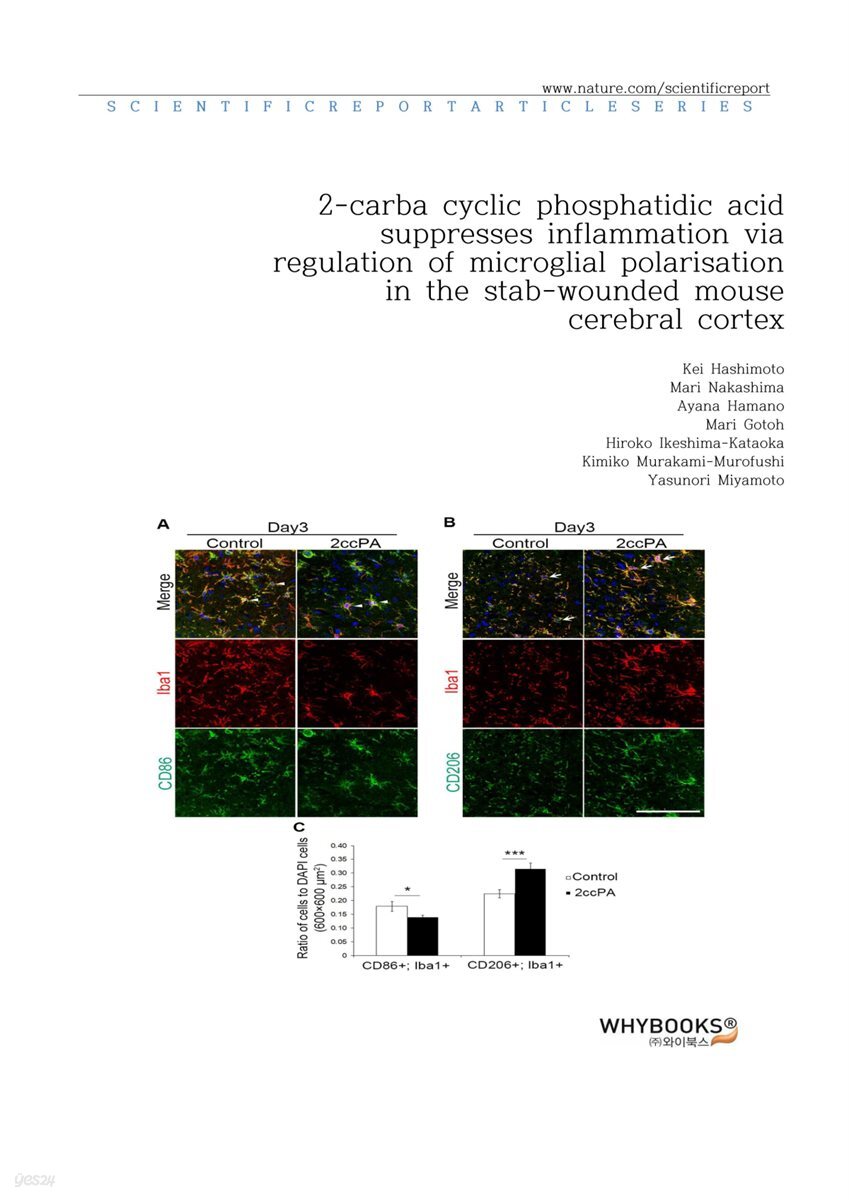 2-carba cyclic phosphatidic acid suppresses inflammation via regulation of microglial polarisation in the stab-wounded mouse cerebral cortex
