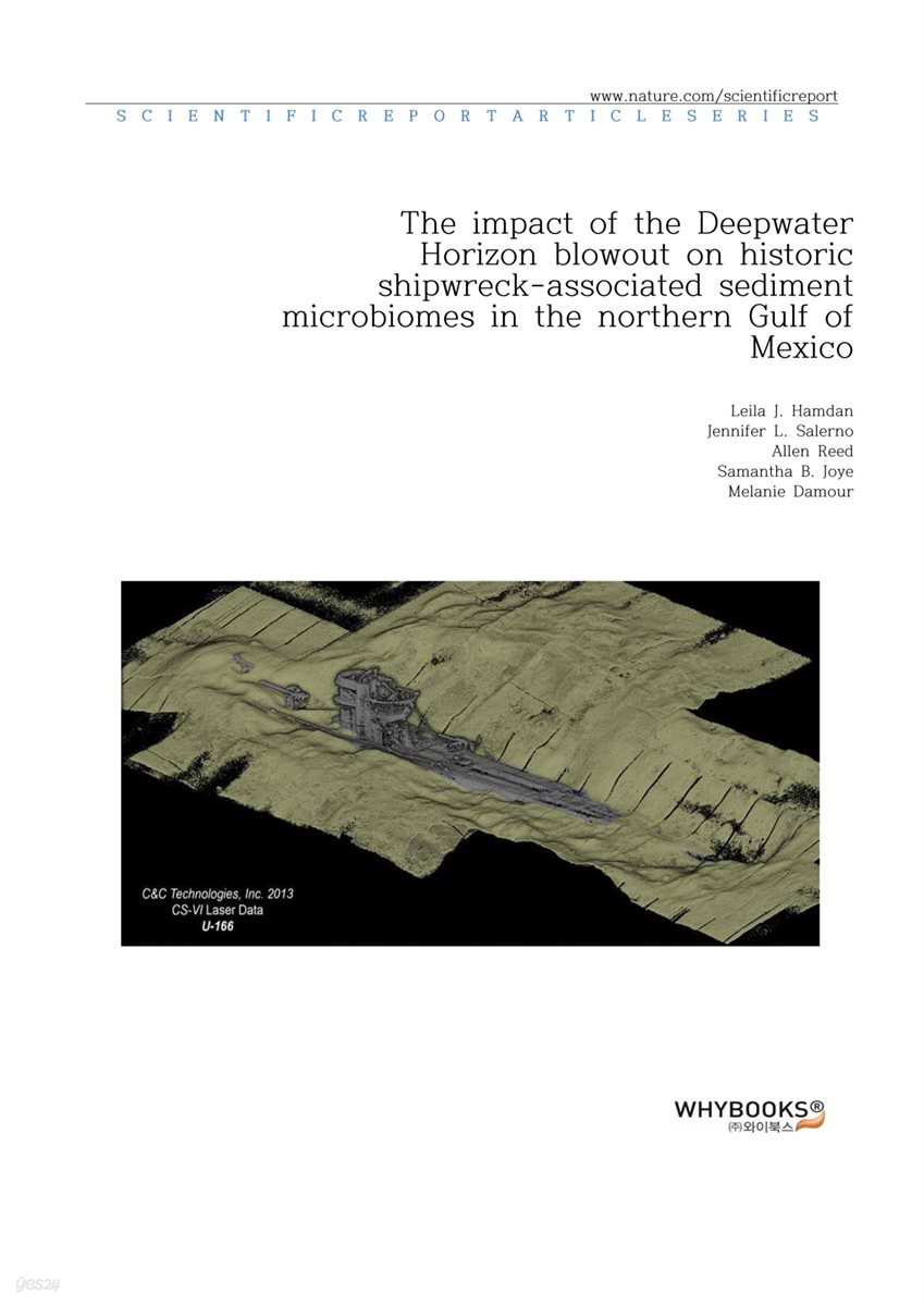 The impact of the Deepwater Horizon blowout on historic shipwreck-associated sediment microbiomes in the northern Gulf of Mexico