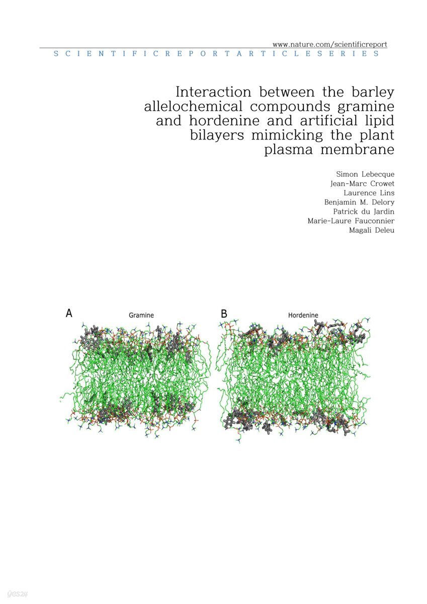 Interaction between the barley allelochemical compounds gramine and hordenine and artificial lipid bilayers mimicking the plant plasma membrane