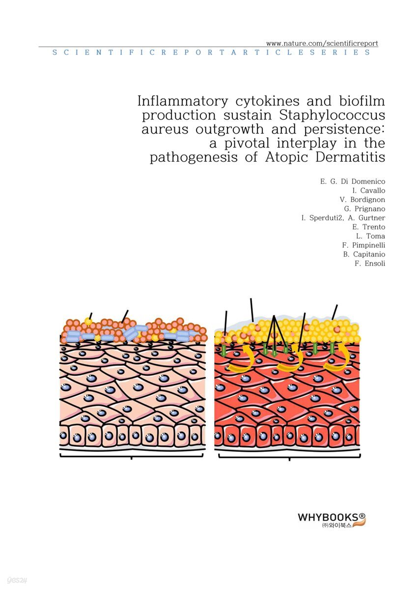 Inflammatory cytokines and biofilm production sustain Staphylococcus aureus outgrowth and persistence a pivotal interplay in the pathogenesis of Atopic Dermatitis