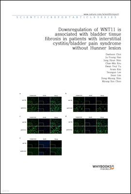 Downregulation of WNT11 is associated with bladder tissue fibrosis in patients with interstitial cystitisbladder pain syndrome without Hunner lesion