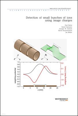 Detection of small bunches of ions using image charges