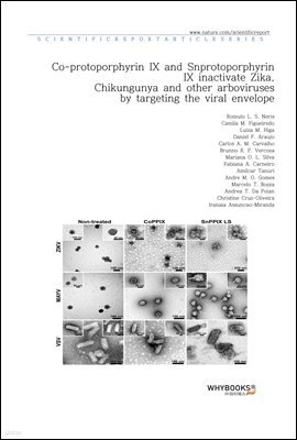 Co-protoporphyrin IX and Sn-protoporphyrin IX inactivate Zika, Chikungunya and other arboviruses by targeting the viral envelope