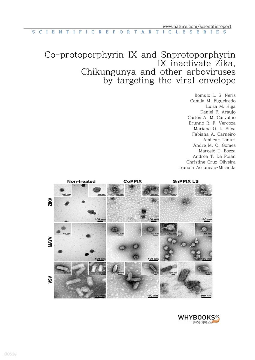 Co-protoporphyrin IX and Sn-protoporphyrin IX inactivate Zika, Chikungunya and other arboviruses by targeting the viral envelope