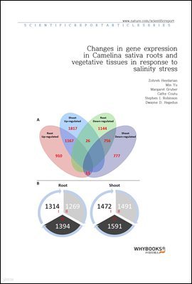 Changes in gene expression in Camelina sativa roots and vegetative tissues in response to salinity stress