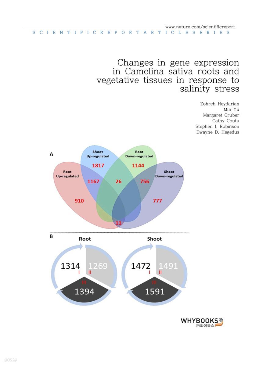 Changes in gene expression in Camelina sativa roots and vegetative tissues in response to salinity stress