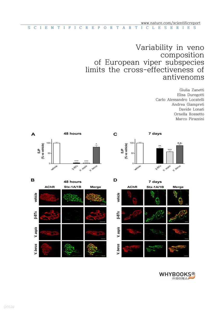 Variability in venom composition of European viper subspecies limits the cross-effectiveness of antivenoms