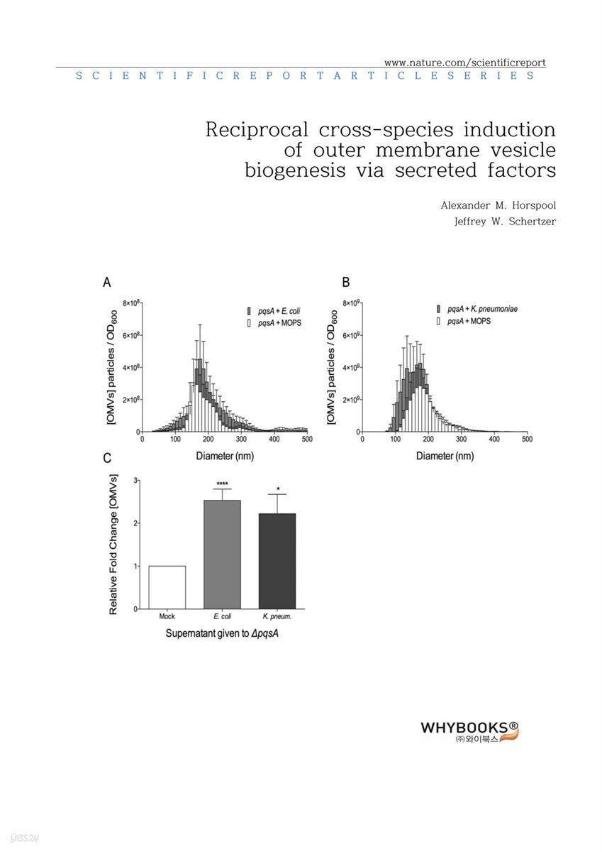 Reciprocal cross-species induction of outer membrane vesicle biogenesis via secreted factors