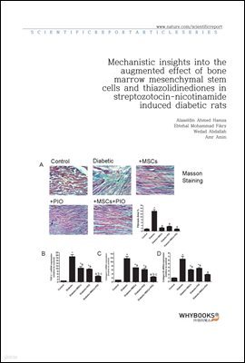 Mechanistic insights into the augmented effect of bone marrow mesenchymal stem cells and thiazolidinediones in streptozotocin-nicotinamide induced diabetic rats