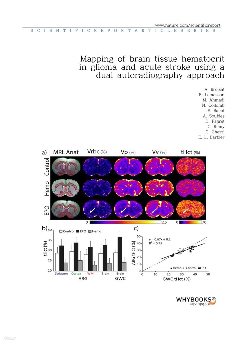 Mapping of brain tissue hematocrit in glioma and acute stroke using a dual autoradiography approach