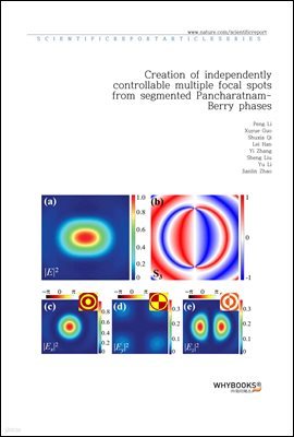 Creation of independently controllable multiple focal spots from segmented Pancharatnam-Berry phases