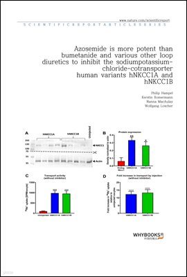 Azosemide is more potent than bumetanide and various other loop diuretics to inhibit the sodium-potassium-chloride-cotransporter human variants hNKCC1A and hNKCC1B