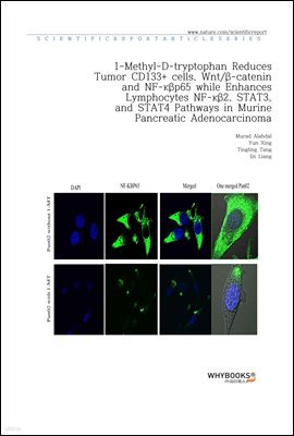 1-Methyl-D-tryptophan Reduces Tumor CD133+ cells, Wnt-catenin and NF-p65 while Enhances Lymphocytes NF-2, STAT3, and STAT4 Pathways in Murine Pancreatic Adenocarcinoma