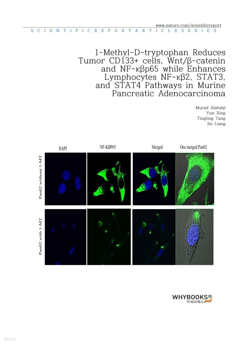 1-Methyl-D-tryptophan Reduces Tumor CD133+ cells, Wntβ-catenin and NF-κβp65 while Enhances Lymphocytes NF-κβ2, STAT3, and STAT4 Pathways in Murine Pancreatic Adenocarcinoma