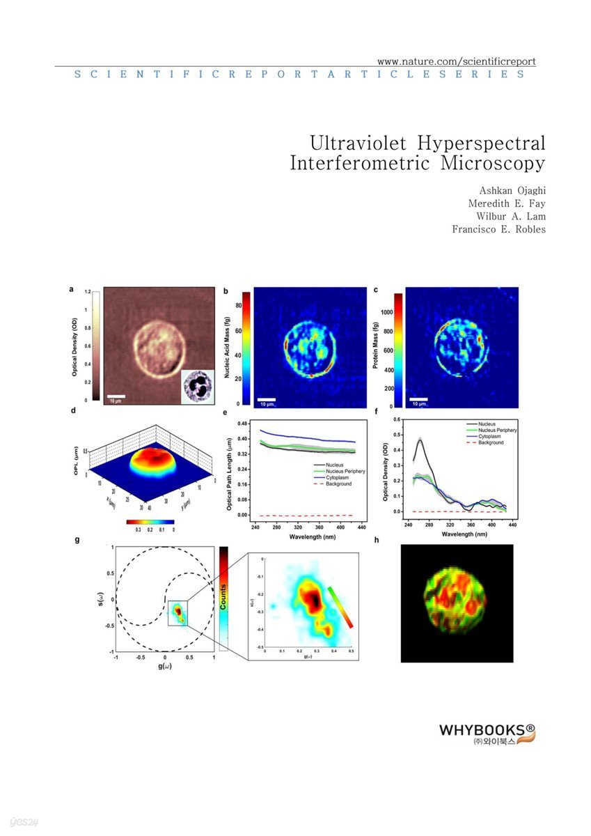 Ultraviolet Hyperspectral Interferometric Microscopy