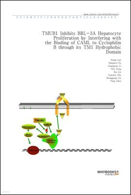 TMUB1 Inhibits BRL-3A Hepatocyte Proliferation by Interfering with the Binding of CAML to Cyclophilin B through its TM1 Hydrophobic Domain