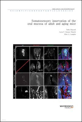 Somatosensory innervation of the oral mucosa of adult and aging mice