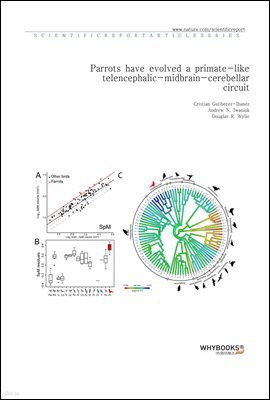 Parrots have evolved a primate-like telencephalic-midbrain-cerebellar circuit