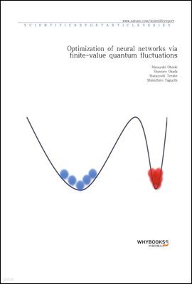 Optimization of neural networks via finite-value quantum fluctuations