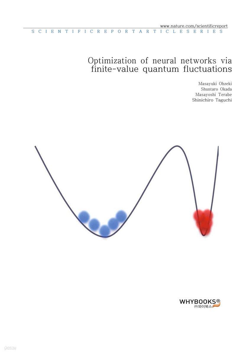 Optimization of neural networks via finite-value quantum fluctuations