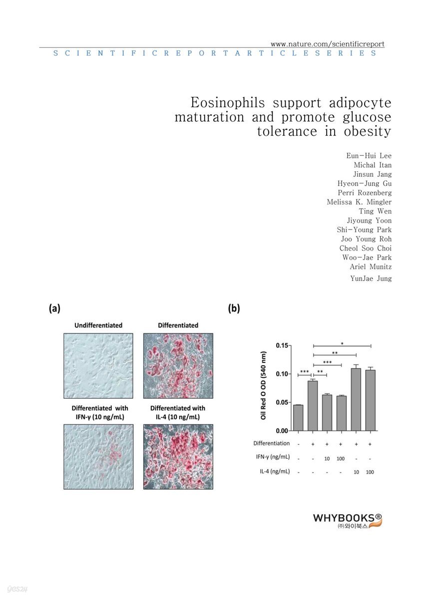 Eosinophils support adipocyte maturation and promote glucose tolerance in obesity