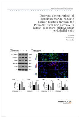 Different concentrations of lipopolysaccharide regulate barrier function through the PI3KAkt signalling pathway in human pulmonary microvascular endothelial cells