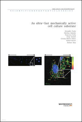 An ultra-fast mechanically active cell culture substrate