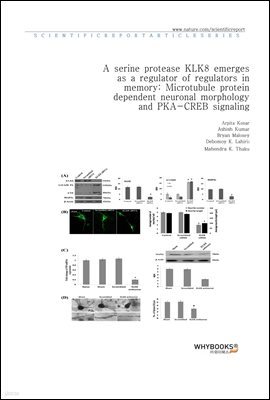 A serine protease KLK8 emerges as a regulator of regulators in memory Microtubule protein dependent neuronal morphology and PKA-CREB signaling