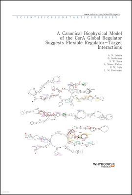 A Canonical Biophysical Model of the CsrA Global Regulator Suggests Flexible Regulator-Target Interactions