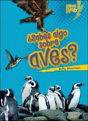 ¿Sabes Algo Sobre Aves? (Do You Know about Birds?)