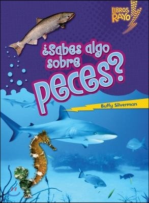 ¿Sabes Algo Sobre Peces? (Do You Know about Fish?)