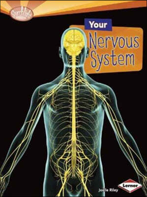 Your Nervous System