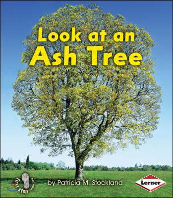 Look at an Ash Tree